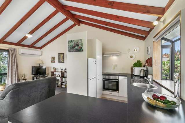 10 Dellys Grove Levin_3