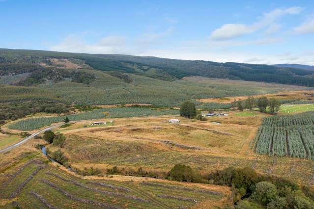 Tahakopa Valley Road Catlins Surrounds_4