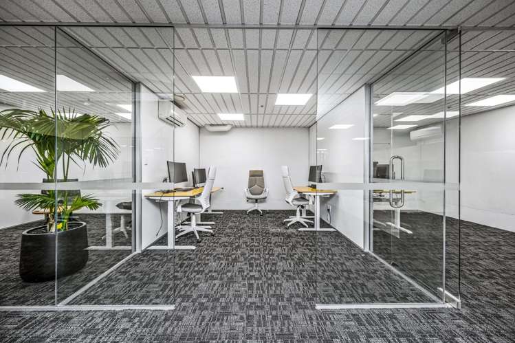 19-21 Mackelvie Street Grey Lynn_10