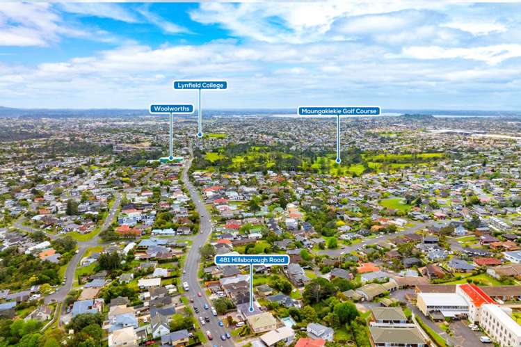 481 Hillsborough Road Hillsborough_12