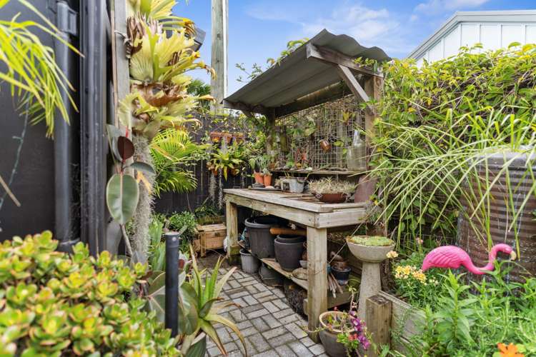 431a Maunganui Road Mount Maunganui_15