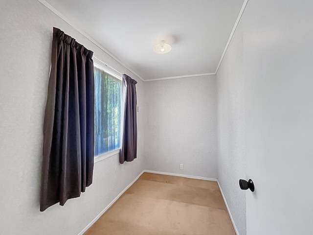 106A Mulgrave Street 10920_4