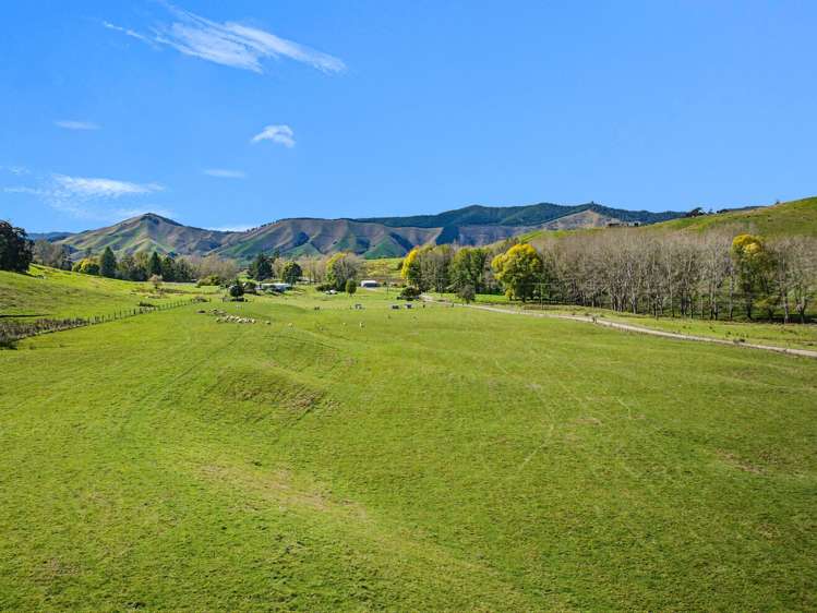 170 Glenrae Road Tapawera_23