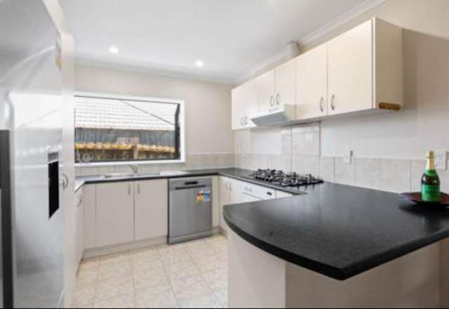 94 Pitt Avenue Clendon Park_3