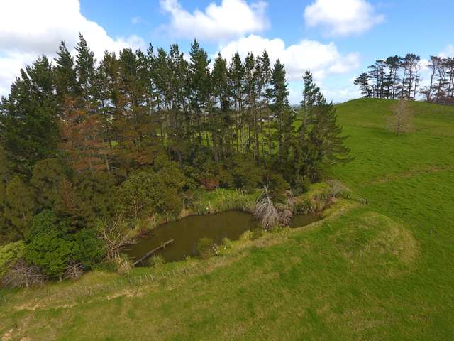 Williamson Road Wellsford_4