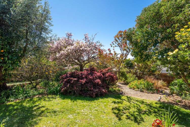 7 James Cross Place Mapua_25