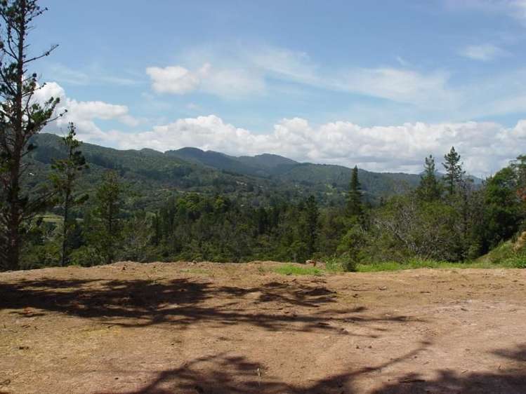 93a Colville Road Coromandel_3