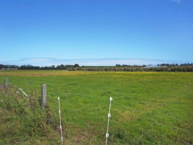 293 West Plains Road West Plains_6