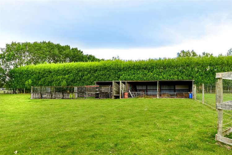 307 Tancreds Road Lincoln_17