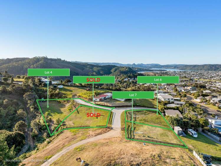 Lot Lots 4,6,7 / 409 The Drive Whangamata_14