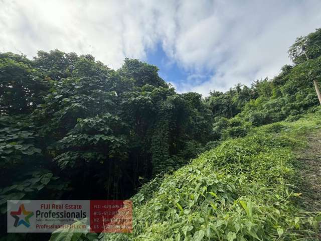 Address withheld Savusavu_4