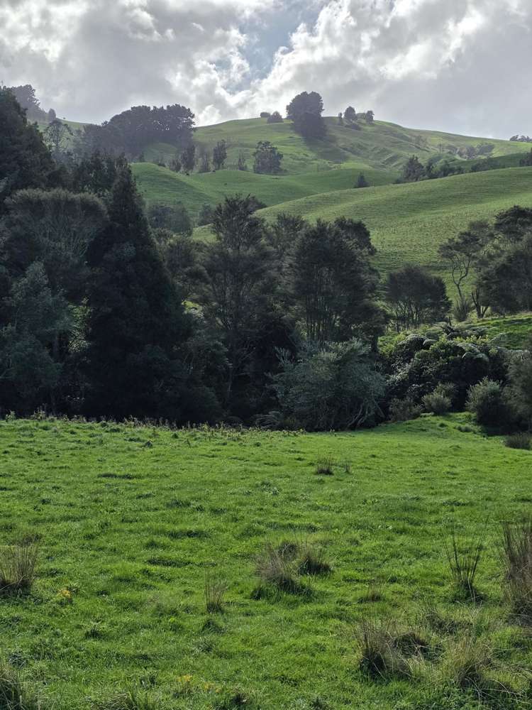 1/483 French Pass Road Cambridge_7