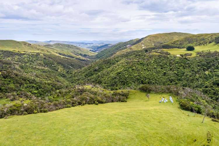 671 Saunders Road Tiraumea_8