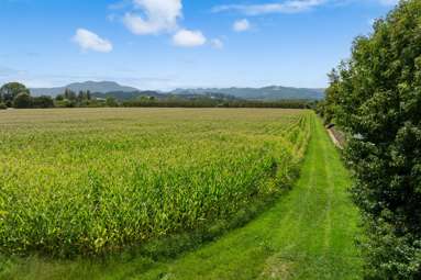 Lot LOT 5/DP160216 Omaha Flats Road_3
