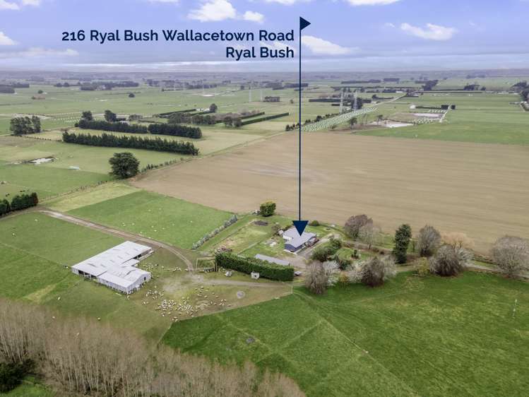 216 Ryal Bush Wallacetown Road Ryal Bush_38