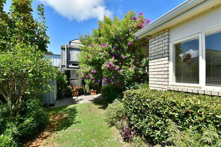 41 Rishworth Avenue Stanmore Bay_22