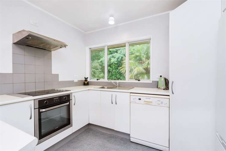 8 Kotuku Street Maunu_6