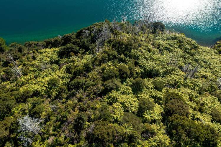 Lot 2 North West Bay Pelorus Sound_13