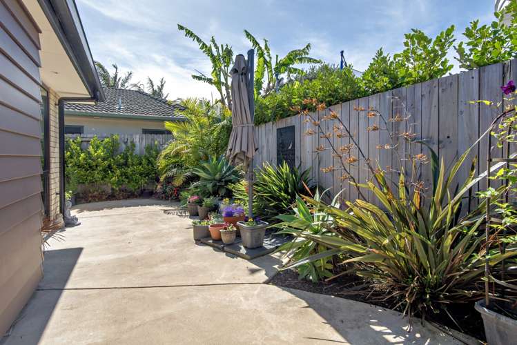 38c James Street Whakatane_11