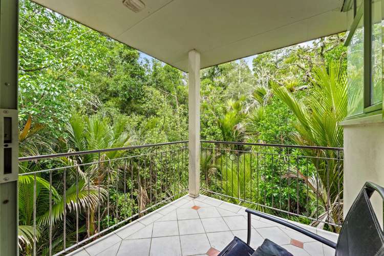 224 Whitehills Road Waitoki_31