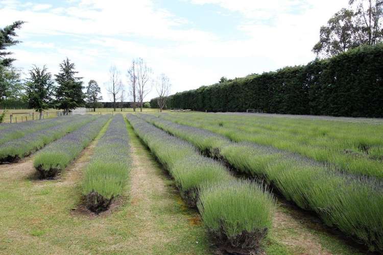 632 Hoskyns Road West Melton_17