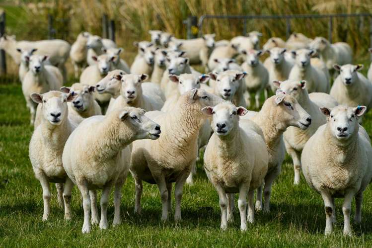 372 Looney Road South Hillend_11