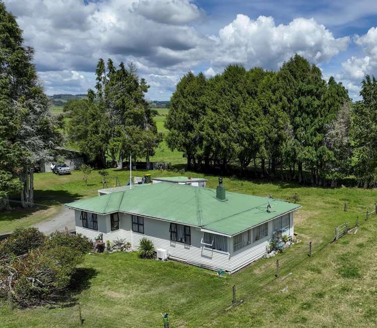 62 Ngamotu Road Rerewhakaaitu_13