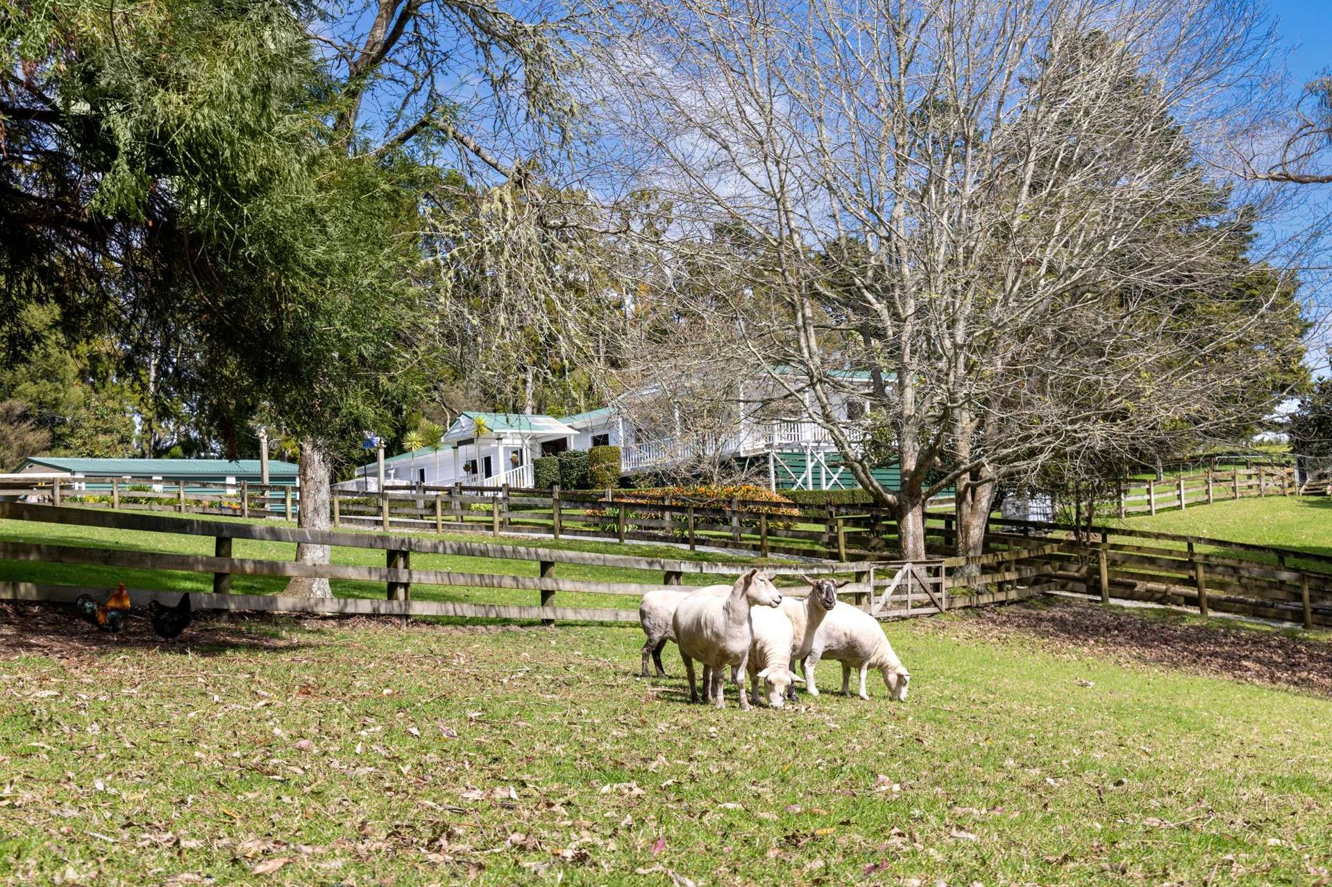 25 Wayby Station Road Wellsford_0