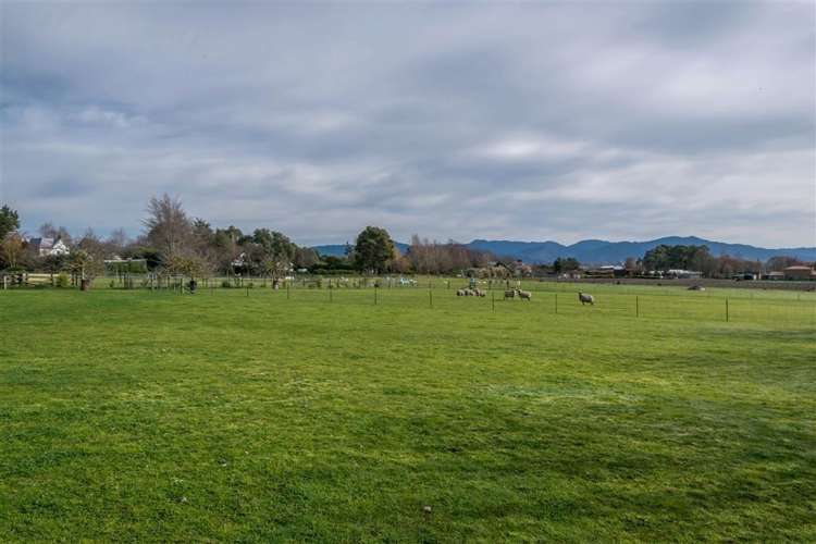 171 Wither Road Witherlea_26