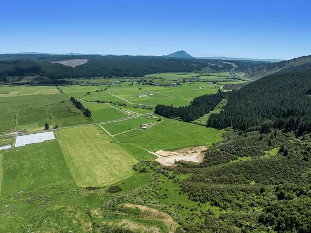 175ha Dairy Stepping Stone