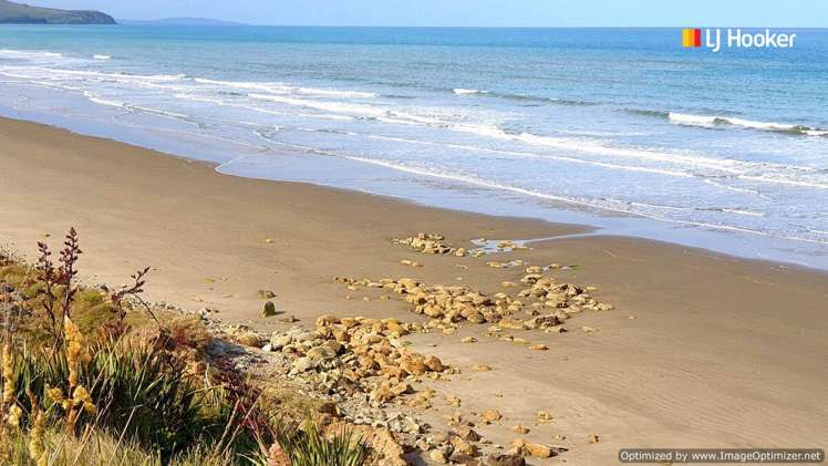 22 Stafford Street Hampden_16