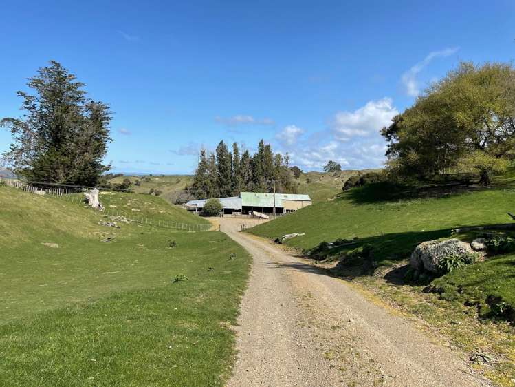 2829 Puketitiri Road Patoka_23