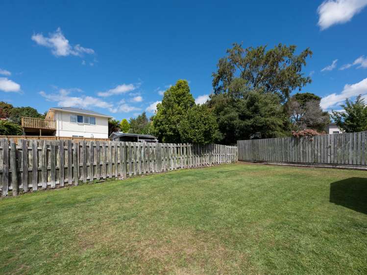 19 Nikau Street Springfield_11