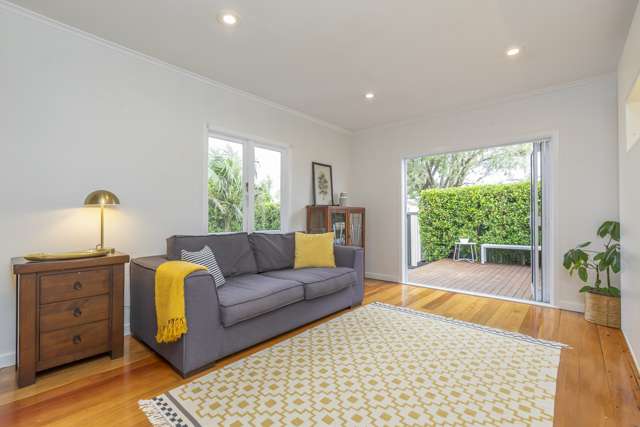 43 Old Mill Road Grey Lynn_2