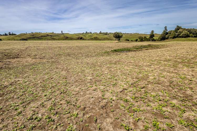 Lot 13 Matapuna Road Horopito_8