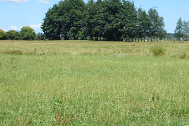 42 Lovegrove Road Te Aroha_15