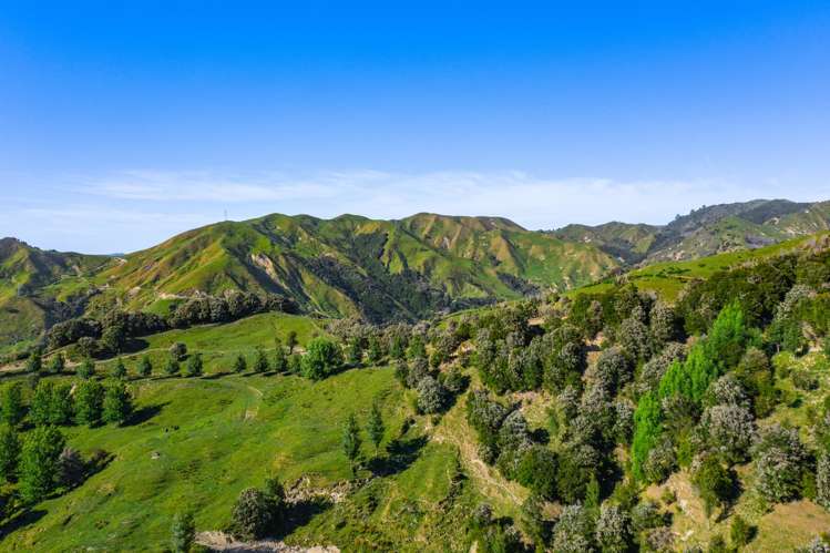 1169 Ruakaka Road Tiniroto_18