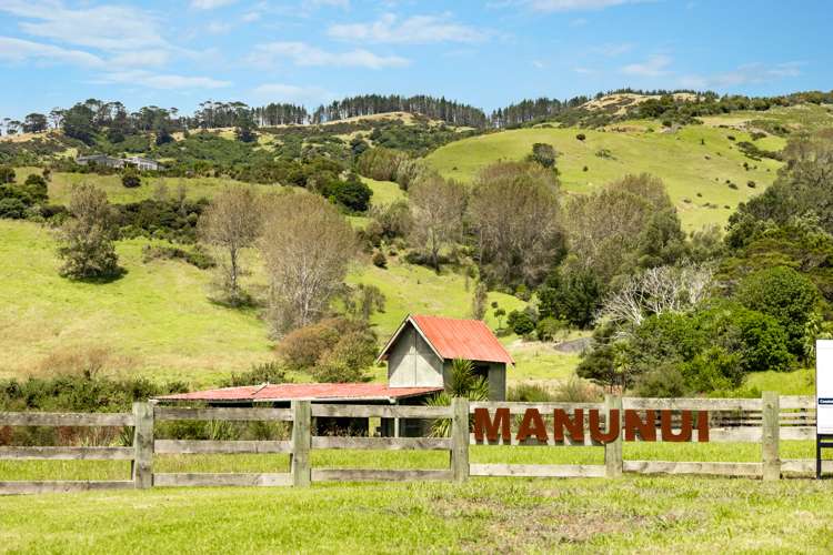 Manunui Coastal Estate Pakiri_11