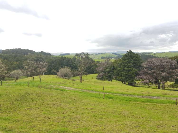 504 Wairere Road Paparoa_21