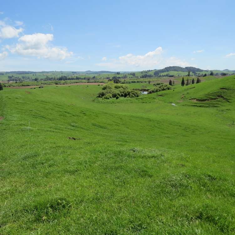 Kahuwera Road Piopio_9