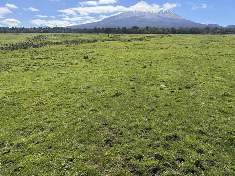 1110 Kaweora Road Opunake_15