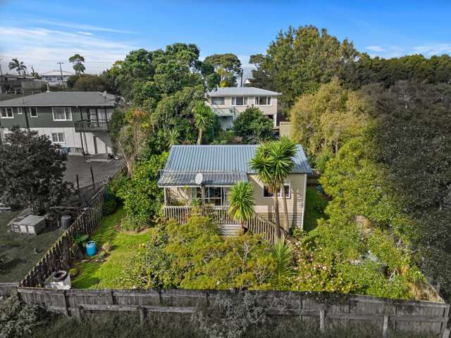 184 Don Buck Road Massey_1