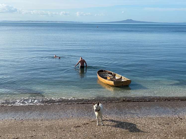 18 Matakatia Parade Matakatia_26