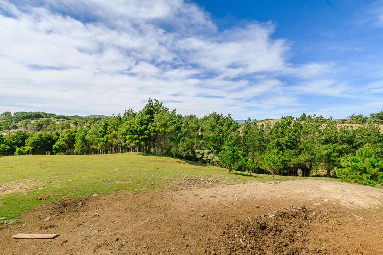 529 Horokiwi Road Horokiwi_19