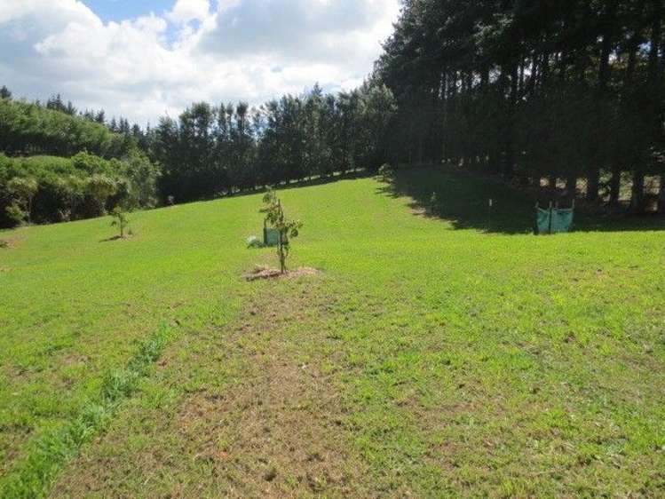 78a Lockington Road Aongatete_7