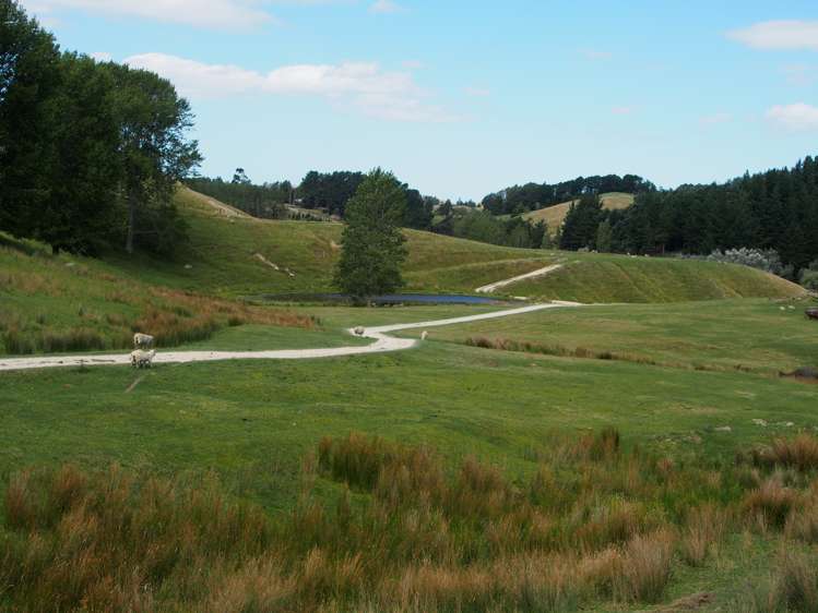 746 Te Awa Road Central Hawkes Bay Coastal_9