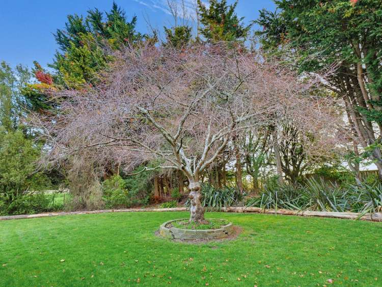 1354 Rangitikei Line Newbury_10