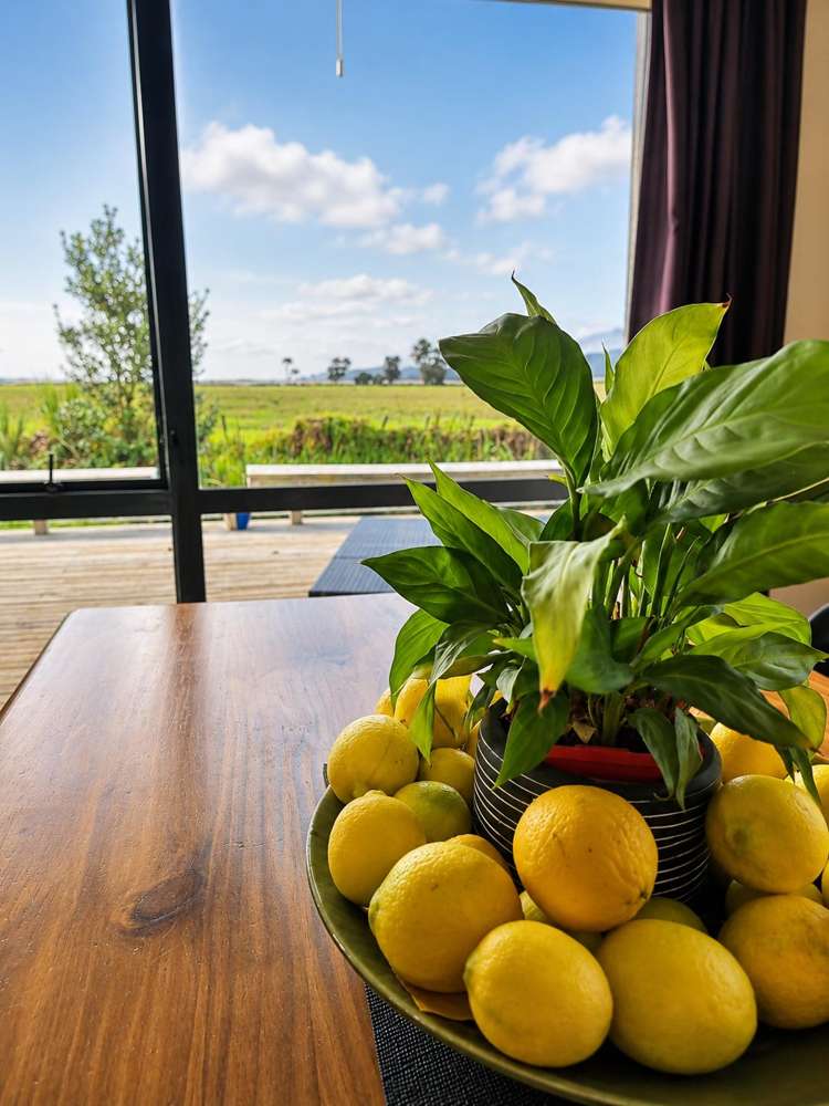41B Springs Road, Parakai Helensville_10
