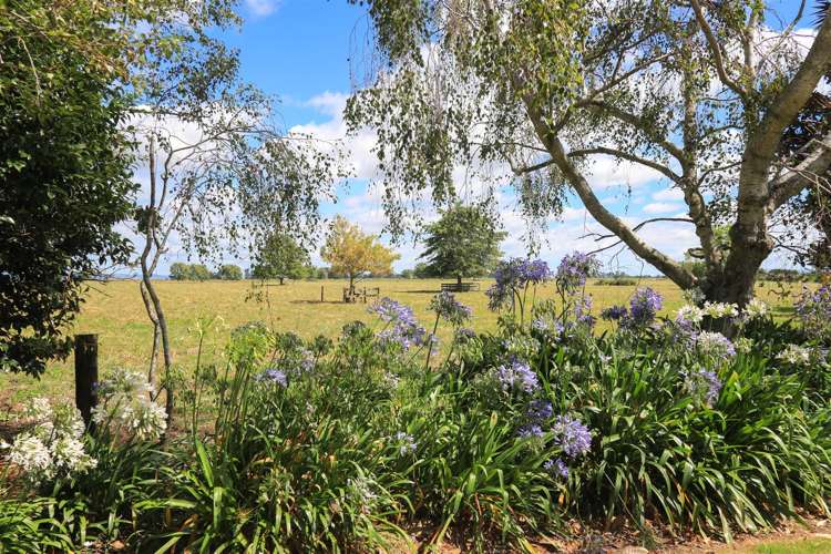 160 Endowment Road Te Aroha_17
