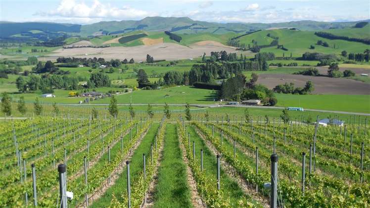 698 Omihi Road Waipara_12